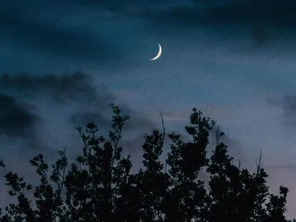 Psychological Sigh For Instant Stress Relief