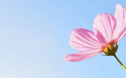 Psychologically Negating The Thoughts Without A Motive