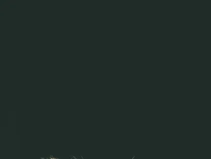 Psychonaut Mind Sailor: Aquarius Full Moon Lion's Gate