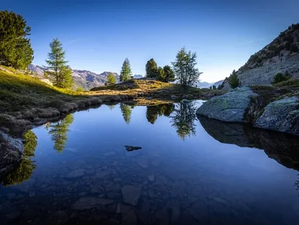 Psychosocial Education Re Meditation And Authenticity