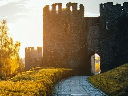 Fire Element Meditation – Phoenix Rebirth With Sekhmet