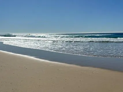 PTSD Reset - Day 6: The New Baseline