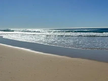 PTSD Reset – Part 4: Training Your Body To Feel Safe Again