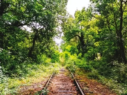 Public Transport Meditation