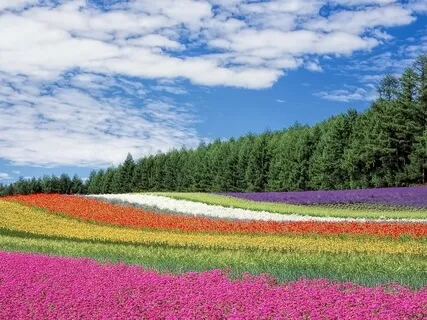 Pull It Off Quickly (A Meditation for Taking Rapid Action)