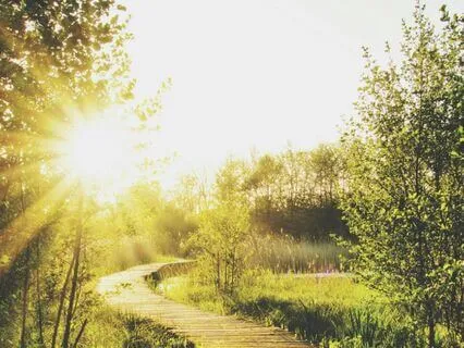 Pulled In Every Direction? Come Back To You