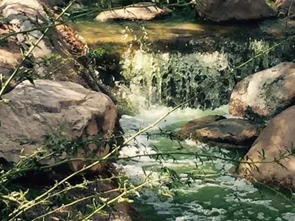 Pulse Between Two Breaths (Where The River Has A Heartbeat)