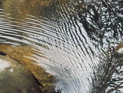 Pulse: The River Beneath Your Skin (Not Alone Series)