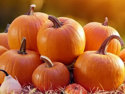 Pumpkin Farm Autumn Ambience 2H Crunchy Leaves Fire Sounds