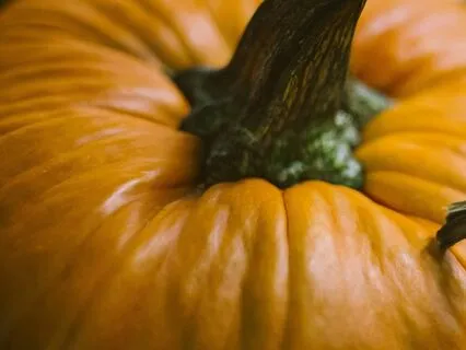 Pumpkin Farm Refreshing Rain Ambience Crunchy Leaves| 2H