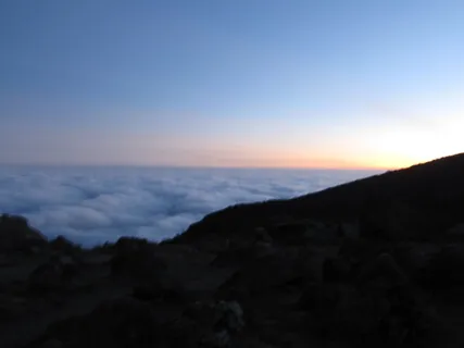 Pure Alpha - 11Hz, 105Hz base