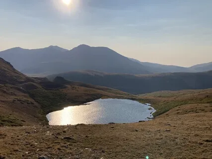 Pure Alpha - 12Hz, 100Hz Base