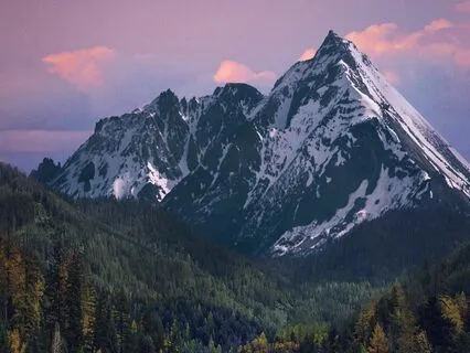 Pure Awareness (20 Minutes)