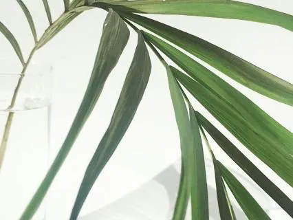 Pure Awareness (Ether) Guided Practice