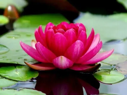 Pure Awareness Mindfulness Practice