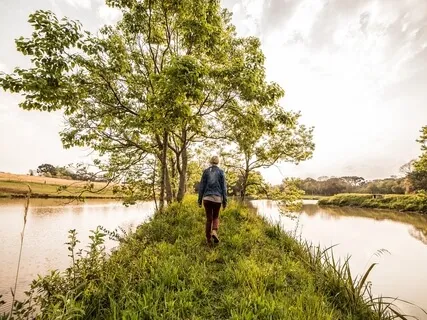 Pure Awareness (Morning Walking Meditation)