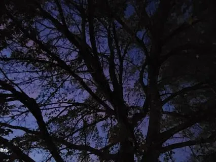 Pure Brown Noise: All Night Sleep Support