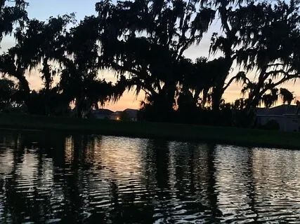 Pure Delta - 3Hz, 115Hz Base