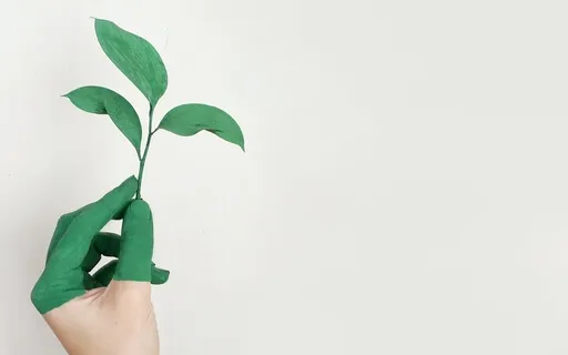 Pure Essence Awareness Sequence Through Guided Meditations