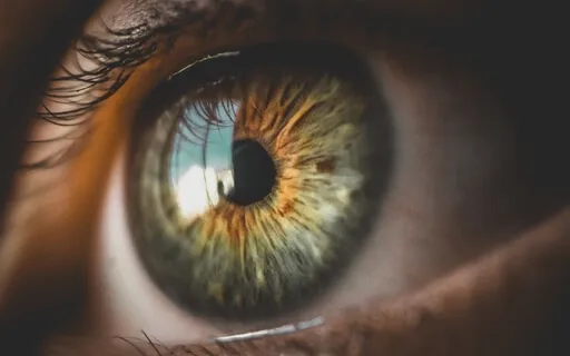 Pure Focus Music: For A Meditative Mind