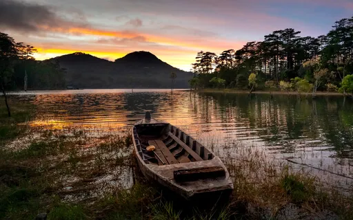 Pure Love 999hz Chakra Healing Divine Energy Music