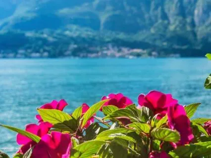 Pure Mind – Music for Focus and Relaxation