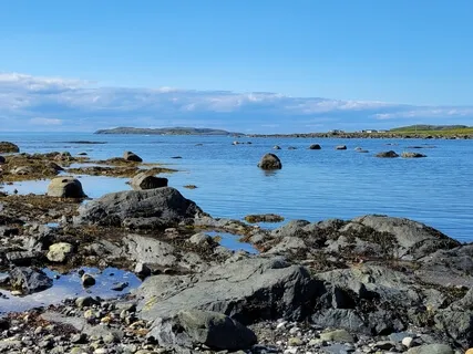 Pure Nature Sound Therapy: The Sea, Calm Waves, Birds, Wind