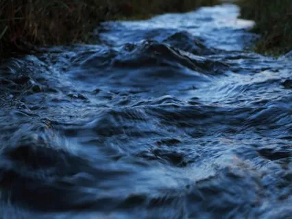 Pure Nature Sounds: Flowing Stream - 2.5 Hours