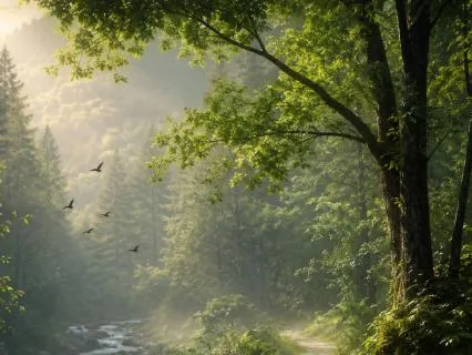 Pure Path Of Nature