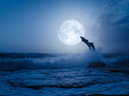 Pure Peace Mermaid Refresh