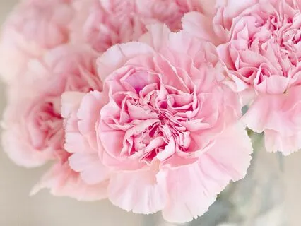 Pure Pink Noise | 3 Hours | The Pink Noise Collection