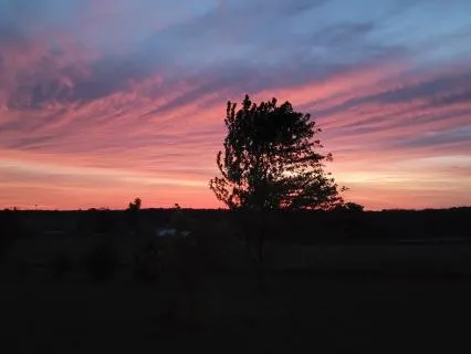 Pure Pink Noise: All Night Sleep Support