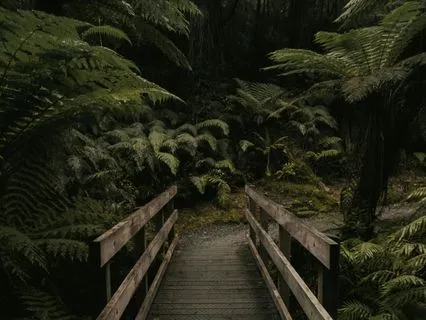 Pure Rain for Sleep: 1 Hr HD Rain For Relaxation