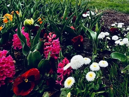 Pure Relaxation And Recuperation Musical Piece