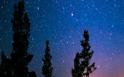 Pure Sleeping Sounds - Ambient