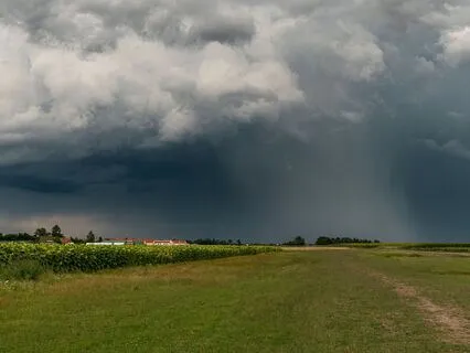 Pure Theta 6Hz Rain & Water Meditation