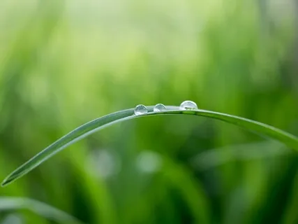 Pure Theta Binaurals (No Music)