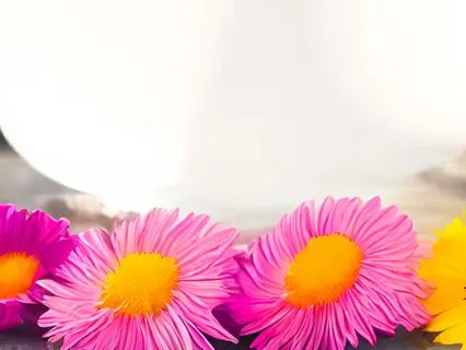 Pure Vibrations (Sound Bath)