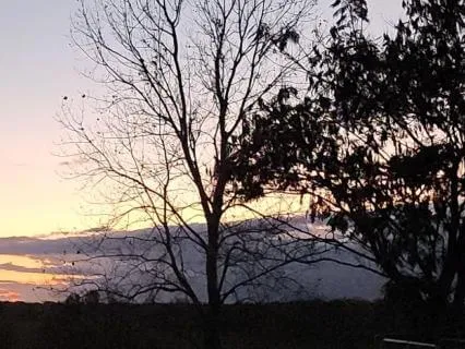 Pure White Noise: All Night Sleep Support