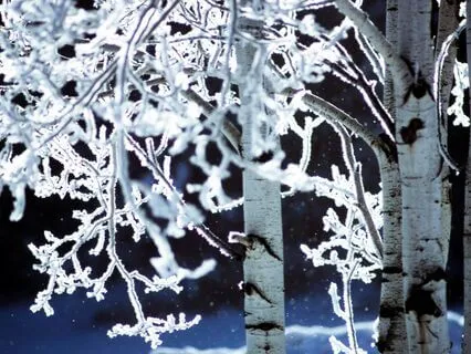 Pure White Noise Extended