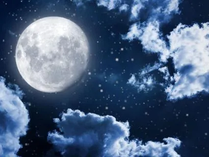 Pure White Noise For Sleep & Focus — 8 Hours