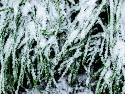 Pure White Noise - Softened - 1 Hour