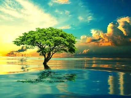 Pure ( 20 Min Beautiful Piano with Brainwave frequencies )