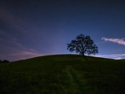Purging The Weight Of The Day Before Deep Sleep