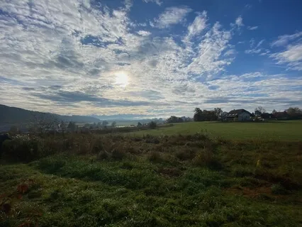 Purification Mantra Of Five Elements