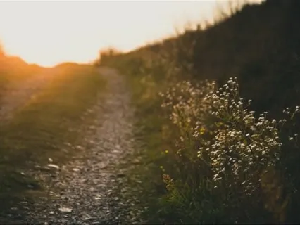 Purification Meditation