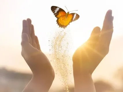 Purification Of The Mind. Align - Release - Receive