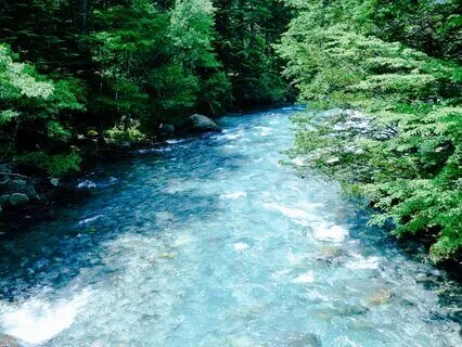 Purify And Reprogram Your Body With Source Energy