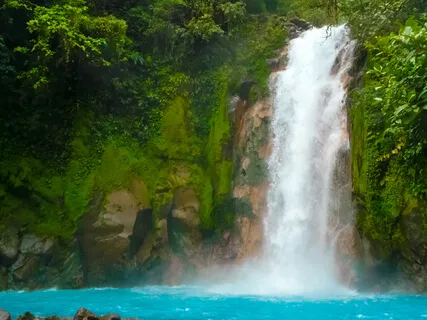 Purifying Light Healing Meditation