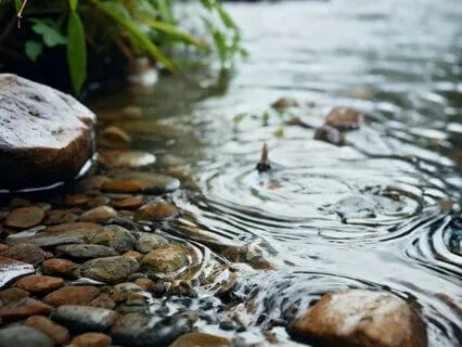 Purifying Rain To Relax Deeply